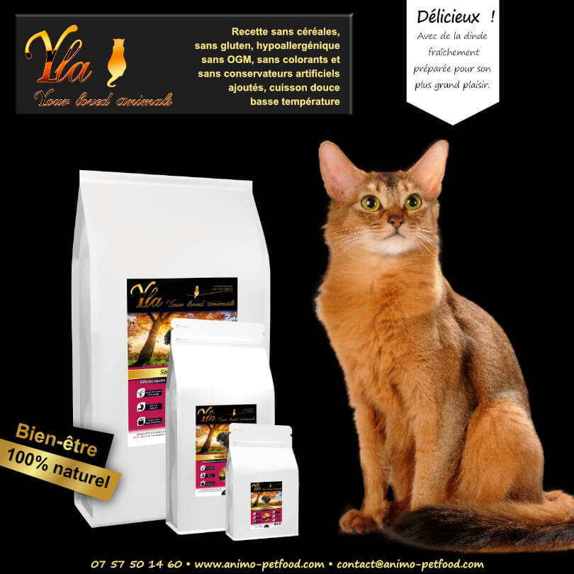 alimentation-hypoallergenique-pour-chat